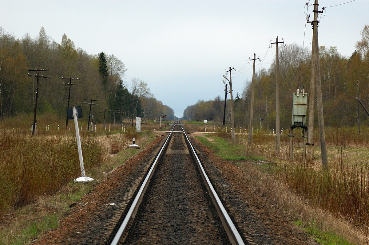 Туту 88 км. Станция разъезд 64 км Новгородская область. Станция 88 километр. Станция Люболяды Новгородская область. Платформа 88 км.
