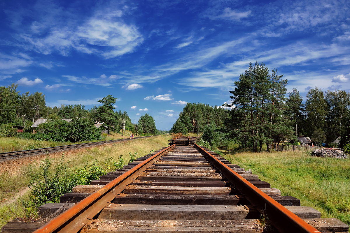 Продаж железной дороги. Железная дорога. Земли железнодорожного транспорта. Железная дорога Ленинградской области. Железная дорога на участке.
